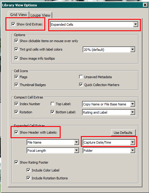 View Options Window.PNG